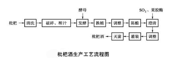 枇杷酒消费工艺流程图